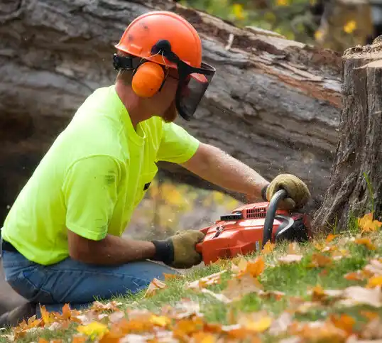 tree services Branchville